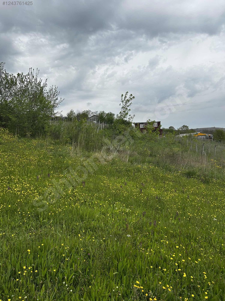 Dursunköy'de İmarlı Satılık 277M Arsa - İSTANBUL ARNAVUTKÖY fotoğraf 6